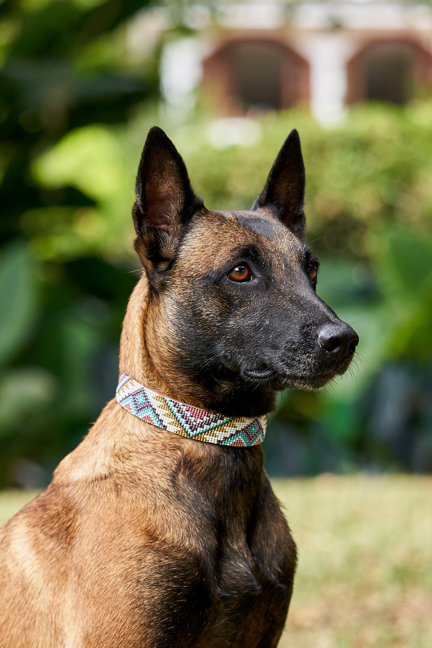 Florencia collar