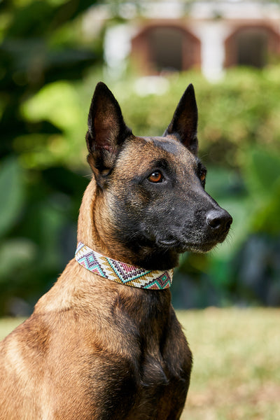 Florencia collar