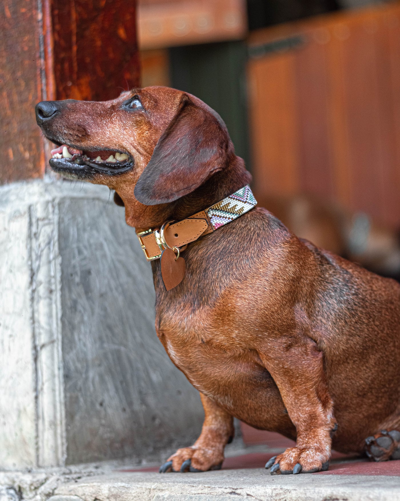 Florencia collar