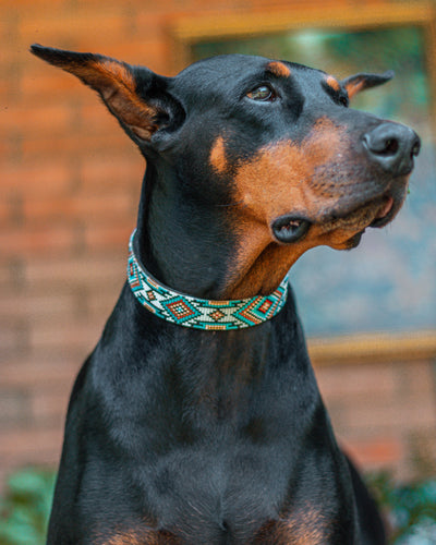 Tatacoa Collar